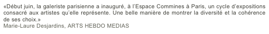 «Début juin, la galeriste parisienne a inauguré, à l’Espace Commines à Paris, un cycle d’expositions consacré aux artistes qu’elle représente. Une belle manière de montrer la diversité et la cohérence de ses choix.»
Marie-Laure Desjardins, ARTS HEBDO MEDIAS
